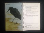 Marschall, J. & E.C.Kinsky & C.J.R. Robertson - Common Birds in New Zealand, Mountain, bush & shore birds