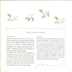 Gerrit Jansen  ..  en Rijk geillustreerd door Willem Kolvoort   Vormgeving van Jose Strelitski  .. Voorwoord van Antoon van Hooff  Directeur Burgers Zoo - Beestigheden - een dierbaar boekje (een bundeling van verhalen uit het dagblad de Gelderlander