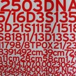 Fransje Gorter - A self portrait in codes