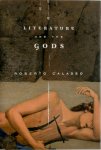Roberto Calasso 47832 - Literature and the Gods