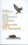 Monica Wesseling - Why starlings pick flowers and vibrating mice are smarter