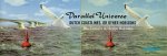 HEKMAN, Henjo & Bas FONTEIN - Bas Fontein & Henjo Hekman - Parallel Universe - Dutch Coastlines, or other Horizons.