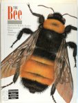 Beth B. Norden - The Bee