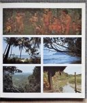 Schefold, Reimar - Speelgoed voor de zielen. Kunst en cultuur van de Mentawi-eilanden