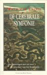 Calvin - CEREBRALE SYMFONIE