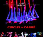  - Circus in Carré