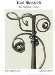 Karl Blossfeldt ; Gert Mattenklott ; Ann Wilde ; Jurgen Wilde - Karl Blossfeldt: Alphabet of Plants
