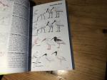 Lee, W-S - A field guide to  the birds of Korea - 2nd ed