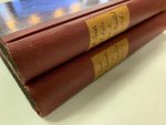 G.W. Vreede - Geschiedenis der diplomatie van de Bataafsche Republiek