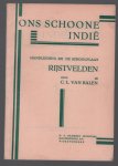 C L van Balen - Handleiding bij de schoolplaat Rijstvelden