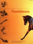 Evert Offereins 81507 - Paardebenen een boek over beenproblemen bij paarden