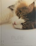 Lucas De Boeck - Pure cat portraits by Lucas