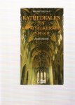 delmelle, joseph - kathedralen en kapittelkerken in belgie