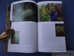 Noel Kingsbury and Andrea Jones (photogr.) - Grasses and Bamboos. Using Form and Shape to create visual impact in the Garden.