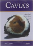 Hans L Schippers TextCase (Deventer) et al - Cavia's