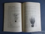 Jennes, J. - Planten in onze woning. Jennes, J. - Planten in onze woning.