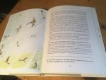 Clarke, Roger - Montagu's Harrier (Grauwe Kiekendief)