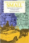 Kaplinsky, Raphael - The Economies of Small: Appropriate Technology in a Changing World.