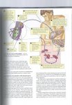 Purves - LIFE The Science of Biology fifth edition