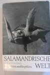 Gerlach, Richard - Salamandrische welt - Amphibien und Reptilien