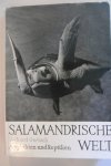 Gerlach, Richard - Salamandrische welt Amphibien und Reptilien