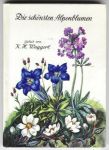 Waggerl, K.H./ Aquarelle von Mila Lipmann Pawlowski - Die schönsten Alpenblumen