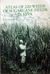 C.A. Backer - Atlas of 220 weeds of sugarfields in Java