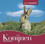 Melissa Stewart - Dierenfamilies - Konijnen