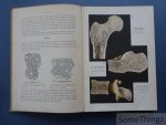 L. S. Meijer. - Het menschelijk lichaam, naar Freys Atlas der Anatomie des Menschen. Met 29 platen in kleurendruk en 70 afbeeldingen in de tekst.