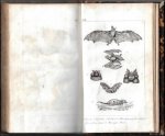 C. Franck - Histoire naturelle des quadrup des les plus remarquables (mammif res et c taces); par un naturaliste du museum. Orn e de soixante figures d'animaux, dessin es et grav es par C. Franck, peintre d'histoire naturelle.