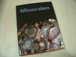 Michele, Vincenzo de - Mineralen