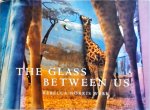 Rebecca Norris Weeb - The Glass Between Us