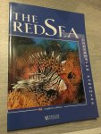 Angelo Mojetta - The red Sea, underwater paradise