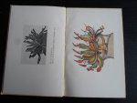 Löhuis, Marie P. Voorwoord - Metamorphosen, Nagelaten tekeningen van Dr.Marianne van Herwerden Löhuis, Marie P. Voorwoord - Metamorphosen, Nagelaten tekeningen van Dr.Marianne van Herwerden