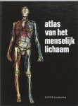 Schadé, Dr. J.P. - Atlas  van het menselijk lichaam ( met veel uitvouwbare anatomische kaarten, alle detailnamen in Latijn én Nederlands)