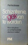 Andriesse, Piet . [ isbn 9789024411894 ] - Schizofrenie ,  Om  Gek  van  te  Worden . ( Wat is schizofrenie, en wat heeft de familie daarmee te maken ? )