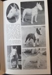 Horner, Tom - All about the Bull Terrier