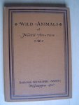 Edward W. Nelson - Wild Animals of North America