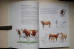 Anno Fokkinga ; Felius, Marleen - biologie: EEN LAND VOL VEE landbouwhuisdieren van Nederland