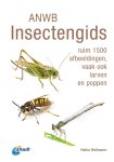 Heiko Bellmann - ANWB Insectengids