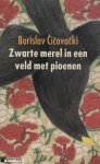H. Claassen - Zwarte Merel In Een Veld Met Pioenen