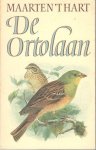 Hart, Maarten 't - de ortolaan