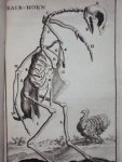 Cornelius van Dyk - Osteologia of nauwkeurige geraamt beschryving van verscheyde dieren Cornelius van Dyk - Osteologia of nauwkeurige geraamt beschryving van verscheyde dieren