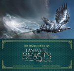 Dermot Power 142646 - Fantastic Beasts and where to find them het artwork van de film