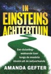 Amanda Gefter - In Einsteins achtertuin