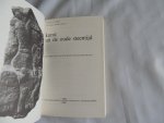 Ucko, Peter J. / Rosenfeld, Andree - Kunst uit de oude steentijd - betekenis van de grotschilderingen