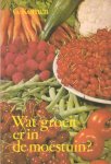 Komen, G. / J. Baër (ill.) - Wat groeit er in de moestuin