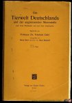 DAHL, Friederich - Die Tierwelt Deutschlands und der angrenzenden Meeresteile nach ihren Merkmalen und nach ihrer Lebensweise. 26. Teil Zweiflügler oder Diptera V: Notacantha - Rhagionidae - Tabanidae - Therevidae - Omphralidae - Asilidae