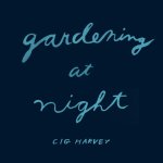 Cig Harvey - Gardening at night