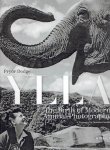 KOFFER, Ylla Camilla - Pryor DODGE - Ylla - The Birth of Modern Animal Photography. Foreword by Maneka Ghandi. KOFFER, Ylla Camilla - Pryor DODGE - Ylla - The Birth of Modern Animal Photography. Foreword by Maneka Ghandi.